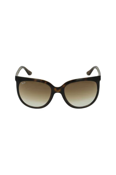 Sunglasses Cats 1000 Ray-Ban brown