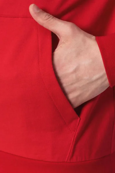 Sweatshirt | Regular Fit EA7 red