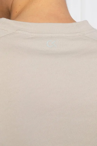 Sweatshirt | Regular Fit Calvin Klein Performance beige