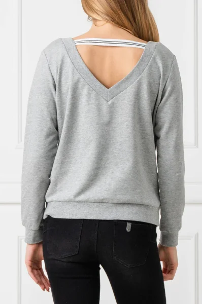 Sweatshirt | Regular Fit Liu Jo Sport gray