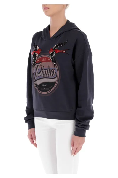 Sweatshirt | Loose fit Pinko charcoal