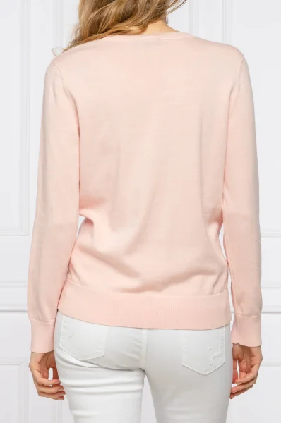 Sweater | Regular Fit DKNY powder pink