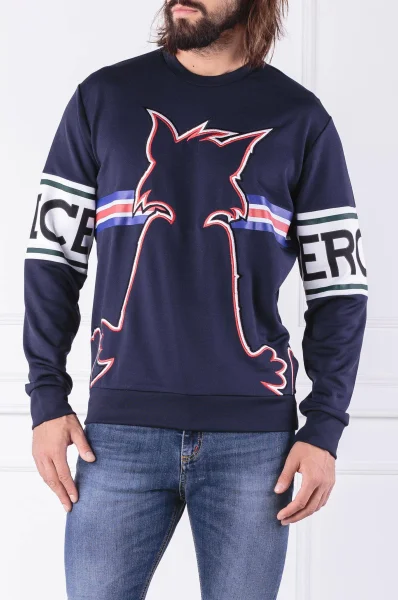 Sweatshirt | Regular Fit Iceberg navy blue