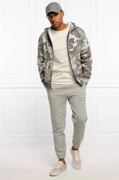 Sweatshirt | Regular Fit POLO RALPH LAUREN gray