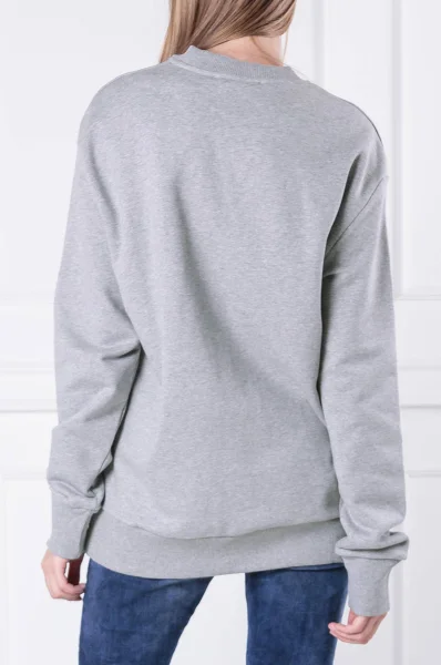 Sweatshirt F-CREW-DIVISION-FL | Regular Fit Diesel gray