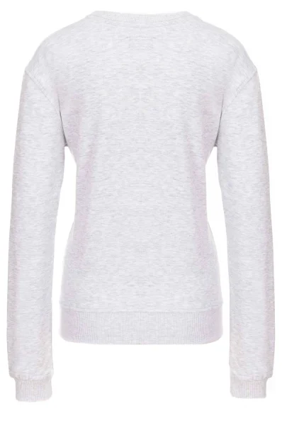 NY Sweatshirt Superdry gray