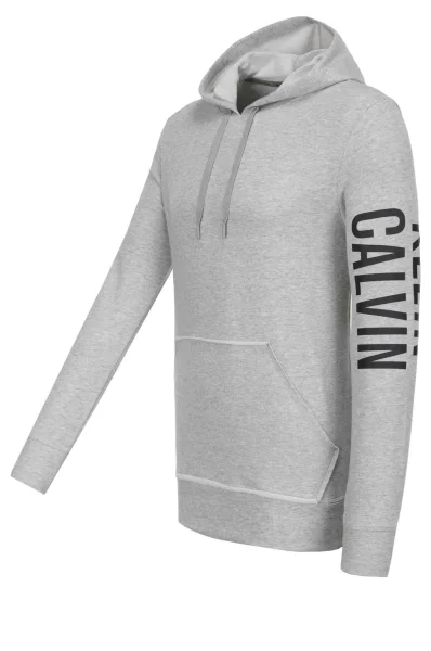 Sweatshirt Calvin Klein ash gray