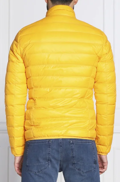 Jacket | Regular Fit EA7 yellow
