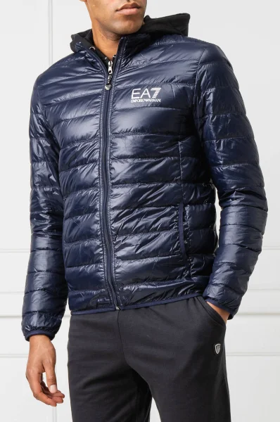 Jacket | Regular Fit EA7 navy blue