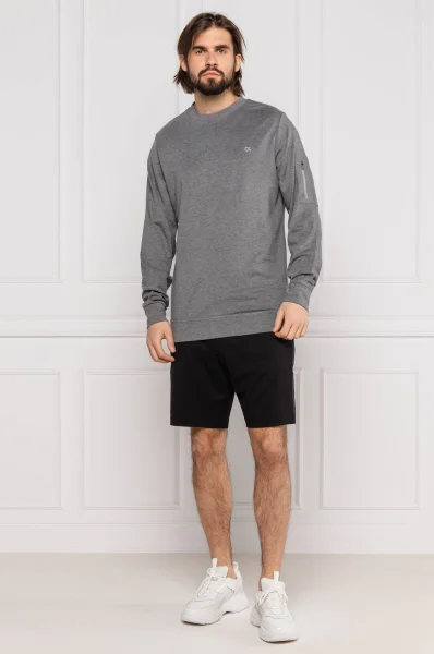 Sweatshirt | Regular Fit Calvin Klein Performance gray