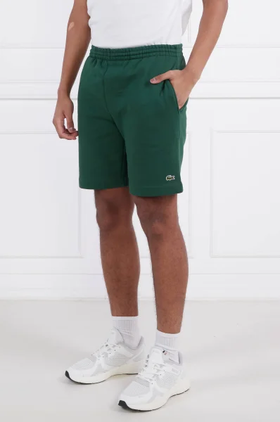 Shorts | Regular Fit Lacoste green