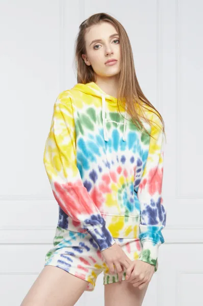 Champion hotsell multicolor sweatshirt