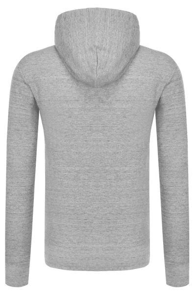 Sweatshirt | Regular Fit POLO RALPH LAUREN ash gray