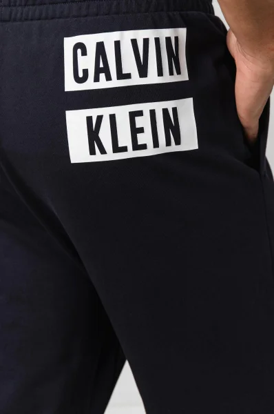 Spodnie dresowe | Regular Fit Calvin Klein Performance granatowy