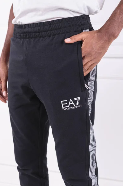 Spodnie dresowe | Regular Fit EA7 czarny