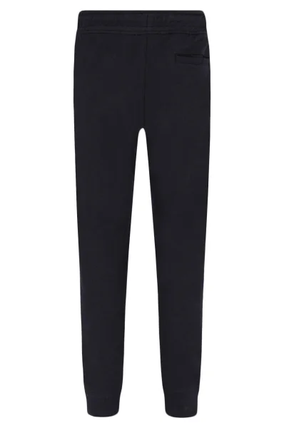 Trousers | Regular Fit Emporio Armani navy blue