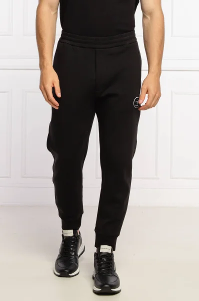 Спортивні штани | Regular Fit Emporio Armani чорний