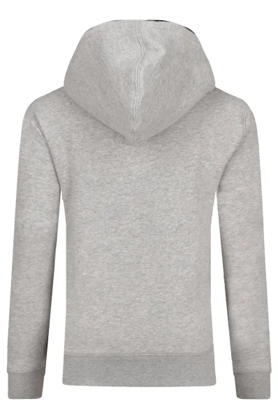 Sweatshirt SEASONAL | Regular Fit POLO RALPH LAUREN gray