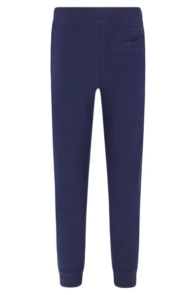 Trousers | Regular Fit POLO RALPH LAUREN navy blue