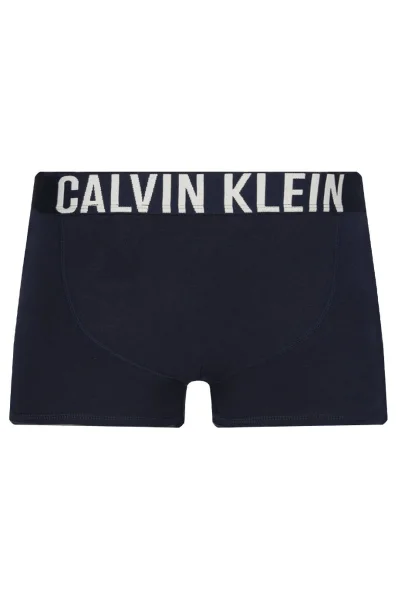 трусики-боксери 2 шт. Calvin Klein Underwear темно-синій