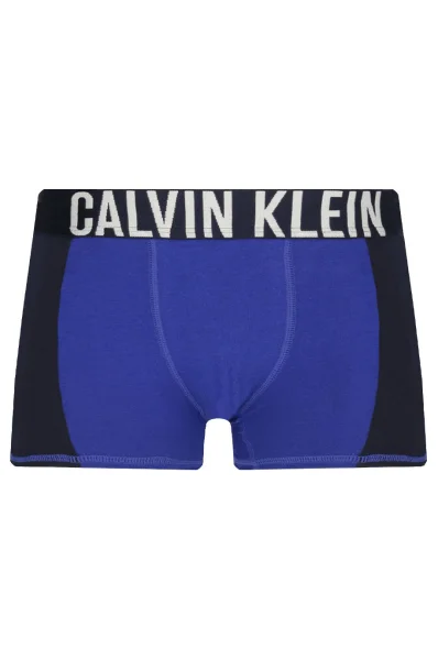 Boxer shorts 2-pack Calvin Klein Underwear navy blue