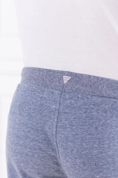 Sweatpants | Regular Fit Guess gray