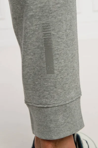 Spodnie dresowe | Regular Fit Calvin Klein Performance szary