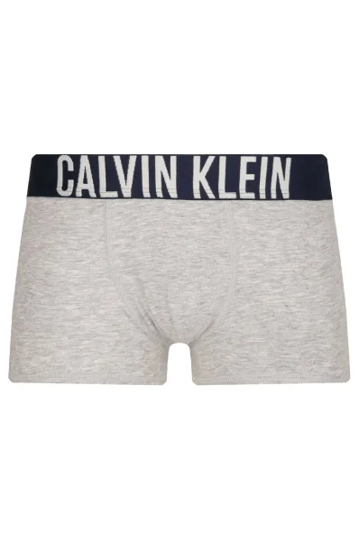 Boxer shorts 2-pack Calvin Klein Underwear gray