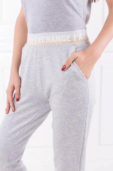 Sweatpants | Regular Fit Armani Exchange ash gray