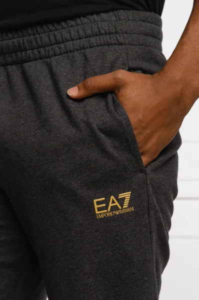 Spodnie dresowe | Regular Fit EA7 szary