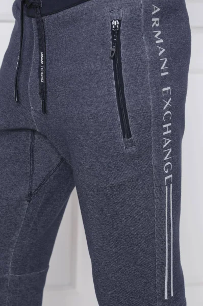 Spodnie dresowe | Regular Fit Armani Exchange szary