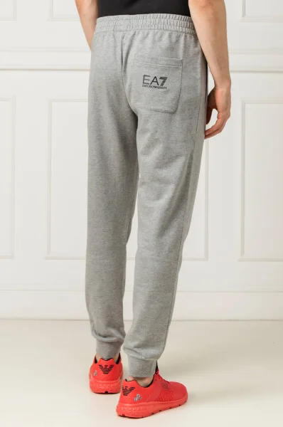 штани спортивний костюмowe | regular fit EA7 сірий
