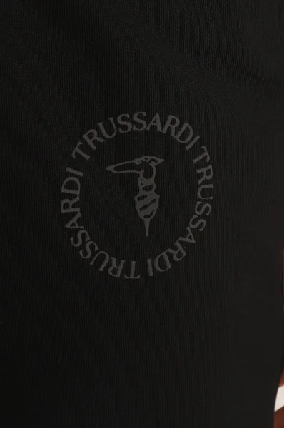 Sweatpants | Regular Fit Trussardi black
