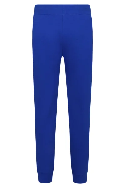 Спортивні штани | Regular Fit POLO RALPH LAUREN темно-синій