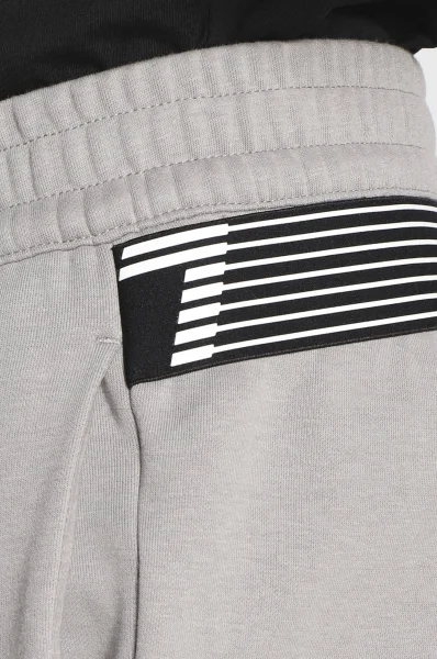 спортивні штани | regular fit EA7 сірий