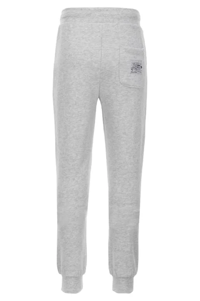 Sweatpants Ben Jr | Regular Fit Pepe Jeans London ash gray