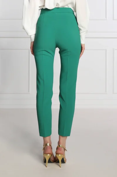 Spodnie | Skinny fit Elisabetta Franchi zielony