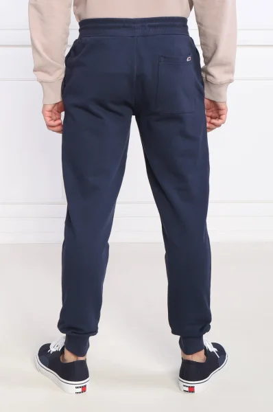 Spodnie dresowe ENTRY | Slim Fit Tommy Jeans granatowy