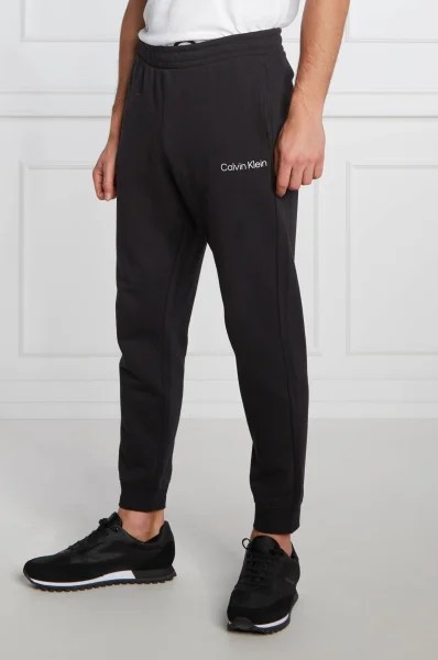 спортивні штани | regular fit Calvin Klein Performance чорний