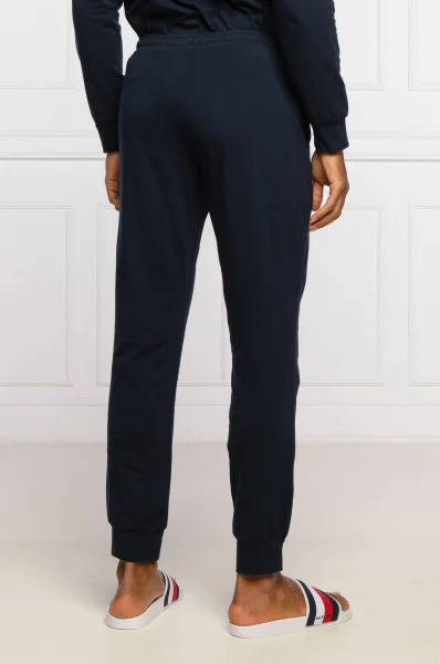 Pyjama | Regular Fit Emporio Armani navy blue