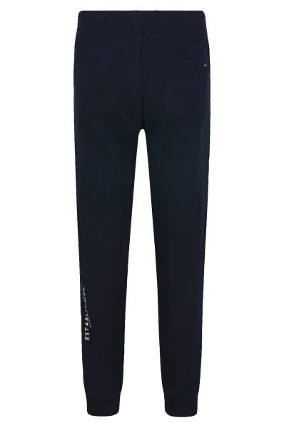 спортивні штани | regular fit Tommy Hilfiger темно-синій