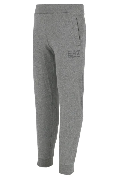 Spodnie dresowe | Relaxed fit EA7 szary