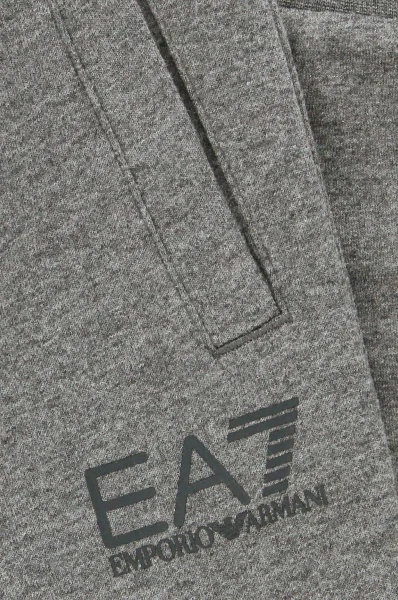 Sweatpants | Relaxed fit EA7 gray