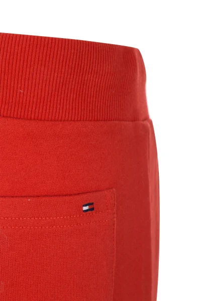 Shorts Ame | Regular Fit Tommy Hilfiger red