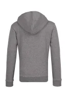Sweatshirt | Regular Fit Emporio Armani gray