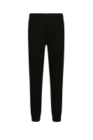 спортивні штани | regular fit EA7 чорний