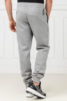 Spodnie dresowe | Relaxed fit EA7 szary