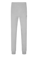 Sweatpants | Relaxed fit EA7 gray