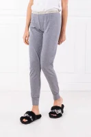 Sweatpants | Regular Fit Emporio Armani ash gray