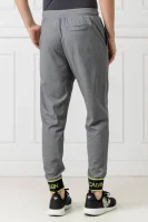Spodnie dresowe | Relaxed fit Calvin Klein Performance szary